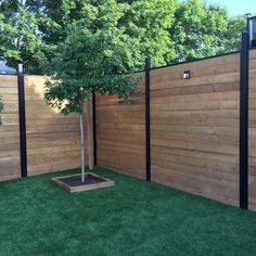 a small tree in the middle of a grassy area next to a wooden fence with black posts