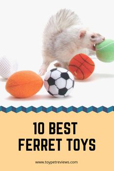 a ferret playing with some balls on top of it