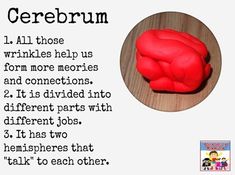 a red cake sitting on top of a wooden table next to a white sign that says cerebrum