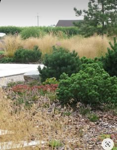 there is a bench in the middle of some bushes and plants on the side of the road