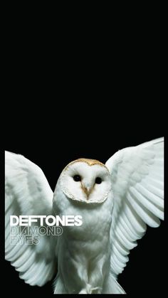 #deftones #whisper #aesthetic #1 #numetal #metal #lockscreen #phonebackground #pinforlater #save #follow Metal Lockscreen, Rock Poster Art, Wallpaper For Android, Rock Band Posters, Owl Wallpaper, Whisper Aesthetic, 8bit Art, Music Poster Design