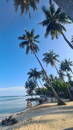 palm trees line the beach as people walk by