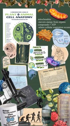 an image of various items that are in the shape of a collage with words and pictures