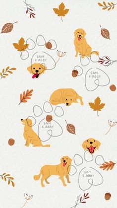 Give yourself a shot of serotonin every time you look at your phone with your Golden Retriever Autumn wallpaper. We know how much you love your animal babies and we want to help you show the world. Pairs perfectly with the Golden Retriever Autumn phone case in the shop! Remember, this is the intellectual property of Sam & Abby Creations and should not be intended for resale in any way. Golden Retriever Phone Wallpaper, Golden Retriever Illustration, Golden Retriever Wallpaper, Golden Retriever Drawing, Autumn Phone Case, Golden Retriever Art, Wallpaper Dog, Golden Wallpaper, Cavalier Spaniel