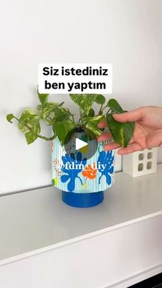 82K views · 117 reactions | Fadime hanım saksıda yaparmısınız dediniz ben hiç sisi kırarmıyım tabiki yaptım ama bu sefer biraz sınırlarımın dışına çıktım sanki cıvıl cıvıl bi saksı oldu zaten çiçek köşeme koyacağım. Diye. Böyle  kan kanlı bi�şi oldu 
Ay birde Sezen Aksu aşığı olduğum her halinden belli oluyor dimi 🫣🫣❤️🥰😉

#saksı #alçı #çiçeklik #doityourself #geridönüsüm #dekor #dekupaj #kendinyap | Fdm Diy