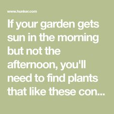 the quote if your garden gets sun in the morning but not the afternoon, you'll need to find plants that like these con