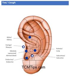 Ear Acupuncture Points, Ear Acupuncture Chart, Ear Piercings Chart Acupuncture, Acupuncture Ear Seeds, Master Tung Acupuncture