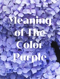 Symbolic Meanings, Brand Strategist, Spiritual Meaning, Candle Magic, Business Coach, Purple Color, Color Purple