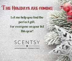 the holidays are coming i let me help you find the perfect gift for everyone on your list this year