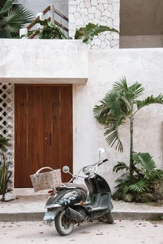 a motor scooter parked in front of a building with palm trees and potted plants