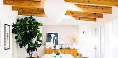 a dining room table with chairs and a potted plant in the corner on the far wall