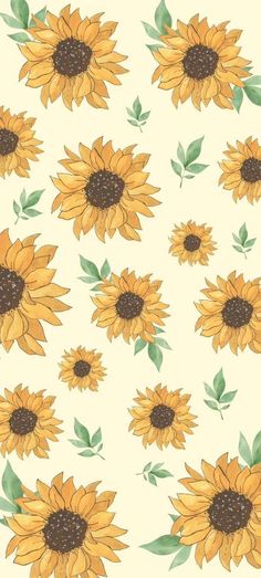 sunflowers with green leaves and brown centers on a white background seamless wallpaper