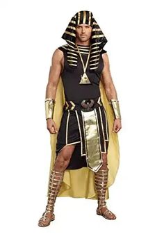 Egypt King Tut Costume King Tut Costume, Egyptian Queen Costume, Egyptian Headpiece, Egyptian Themed Party, Egypt Costume, Costume Ideas For Men, King Of Egypt, Egyptian Collar, Pharaoh Costume