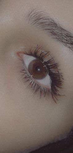 an eye with long lashes and brown eyeshadow