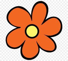 an orange flower on a white background