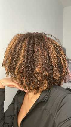 Natural Hair Dye Highlights, Dyed Hair Black And Brown, 4b Dyed Natural Hair, 4c Honey Brown Hair, Highlight Afro Hair, Dyed Hair For Black Women Brown, Skunk Stripe With Highlights, Highlights On 4b Hair, Colored Hair On Black Women Natural Hair