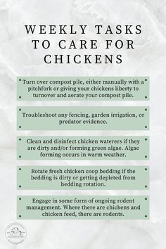 a poster with instructions on how to care for chickens