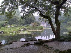 a small pond surrounded by trees and rocks