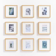 nine framed photographs hanging on the wall