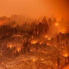 a foggy night in the mountains with trees and lights