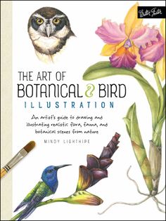 the art of botanical and bird illustration an artist's guide to drawing and rendering realistic flowers, plants, and birds from nature