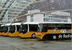 three yellow and white buses parked next to each other in front of a glass building