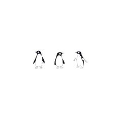 three penguins are walking in the same direction