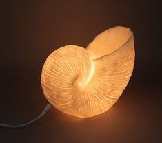 Nautilus Shell Accent Lamp - 10-in - Mellow Monkey Shell Sculpture, Extinct Species, Nautilus Shell, Elegant Beauty, Modern Coastal, Accent Lamp, Beach Cottages, Nautilus, Coastal Style