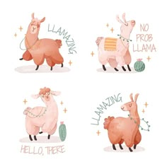 four llamas with no prob llama stickers on their backs, one is pink and the other is white