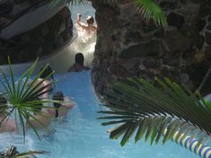 people are in the water slide at an indoor swimming pool that is surrounded by palm trees