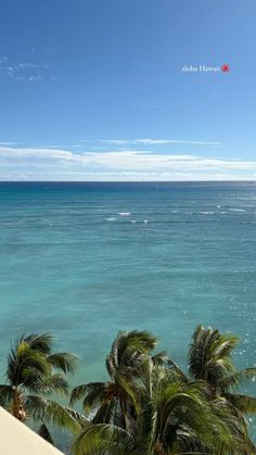 palm trees line the shore of an ocean with clear blue water and white sand beach