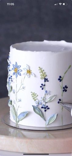 a close up of a cake on a plate with flowers and leaves painted on it