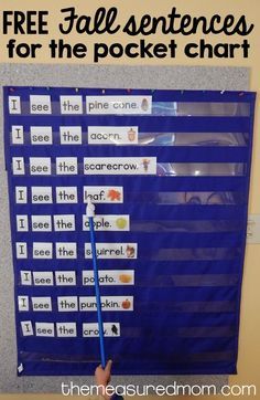 a blue bulletin board with the words free fall sentences for the pocket chart on it