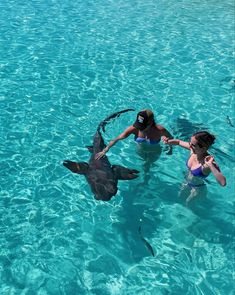 two people in the water with a shark