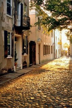 an empty cobblestone street lined with buildings and trees in the sun shining down on it