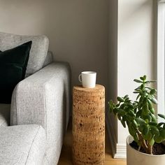 a living room with a couch, coffee table and potted plant