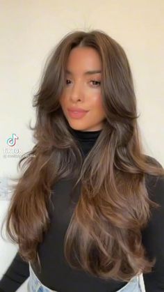 Pin on hair Layered Hair On Long Hair, 2024 Haircut, Haircuts For Long Hair With Layers, Hairstyles For Layered Hair, Haircuts For Medium Hair, Haircuts Straight Hair, Long Brown Hair, Hair Stylist Life, Long Layered Hair