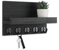 a wooden shelf with keys and a potted plant on it's side, hanging from the wall