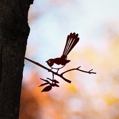 a small bird sitting on top of a tree branch