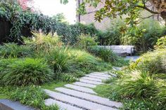 a garden with stone steps leading to a bench