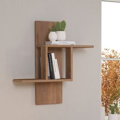 two wooden shelves with books and plants on them in front of a wall mounted planter