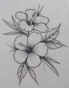 a pencil drawing of flowers on paper