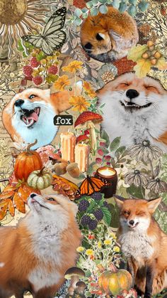 a collage of foxes, pumpkins and other autumn items with the words fox on it