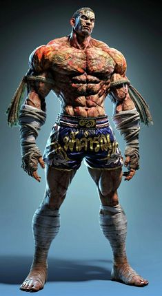 a character from the video game street fighter