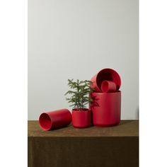 The Clin Pot's red colorway gives everyday or holiday decor a cheery appeal & doesn't steal the show from plants. Layer with other Clin colors to coordinate with any design style. The smooth red finish offers a timeless beauty for every season. AllModern Kenzo Ceramic Pot Planter - Planters | Size 4.5" H X 4.75" W X 4.75" D | Birch Lane Wholesale Decor, Outdoor Garden Planters, Cylinder Shape, Birch Lane, Ceramic Pot, Outdoor Garden Furniture, Holiday Collection, Garden Planters, Flower Shop