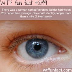 fun fact Elf Eyes, Better Vision, Facts Funny, Weird But True, Wow Facts, Holy Moly, Random Facts, Holy Cow, Science Facts