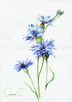 watercolor painting of blue flowers on white paper