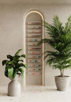 two potted plants sit next to each other in front of a decorative wall hanging