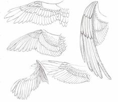 three different types of wings are shown in this drawing