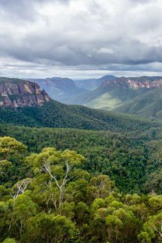 the blue mountains are surrounded by lush green trees